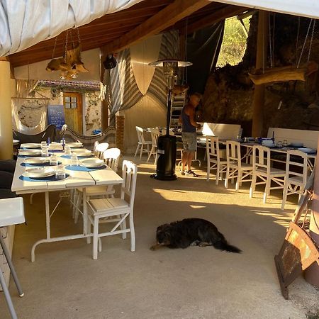 Unique Tiny House With Natural Building Techniques Figueiro Dos Vinhos Exterior photo