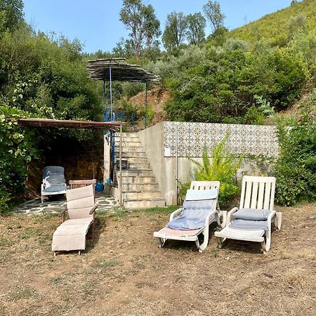 Unique Tiny House With Natural Building Techniques Figueiro Dos Vinhos Exterior photo