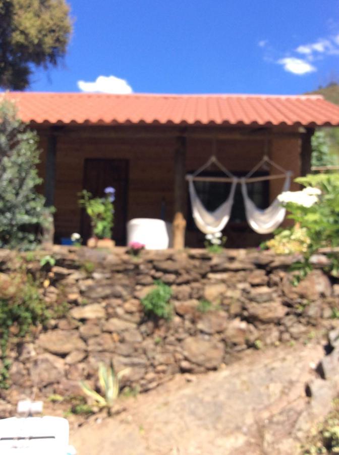 Unique Tiny House With Natural Building Techniques Figueiro Dos Vinhos Exterior photo
