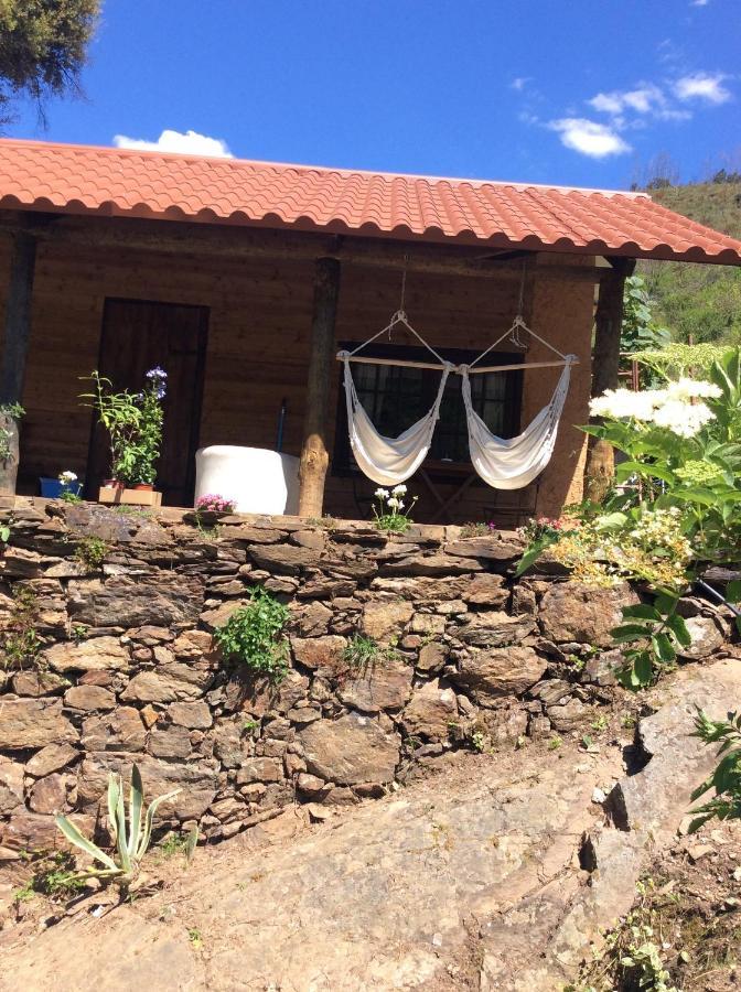 Unique Tiny House With Natural Building Techniques Figueiro Dos Vinhos Exterior photo