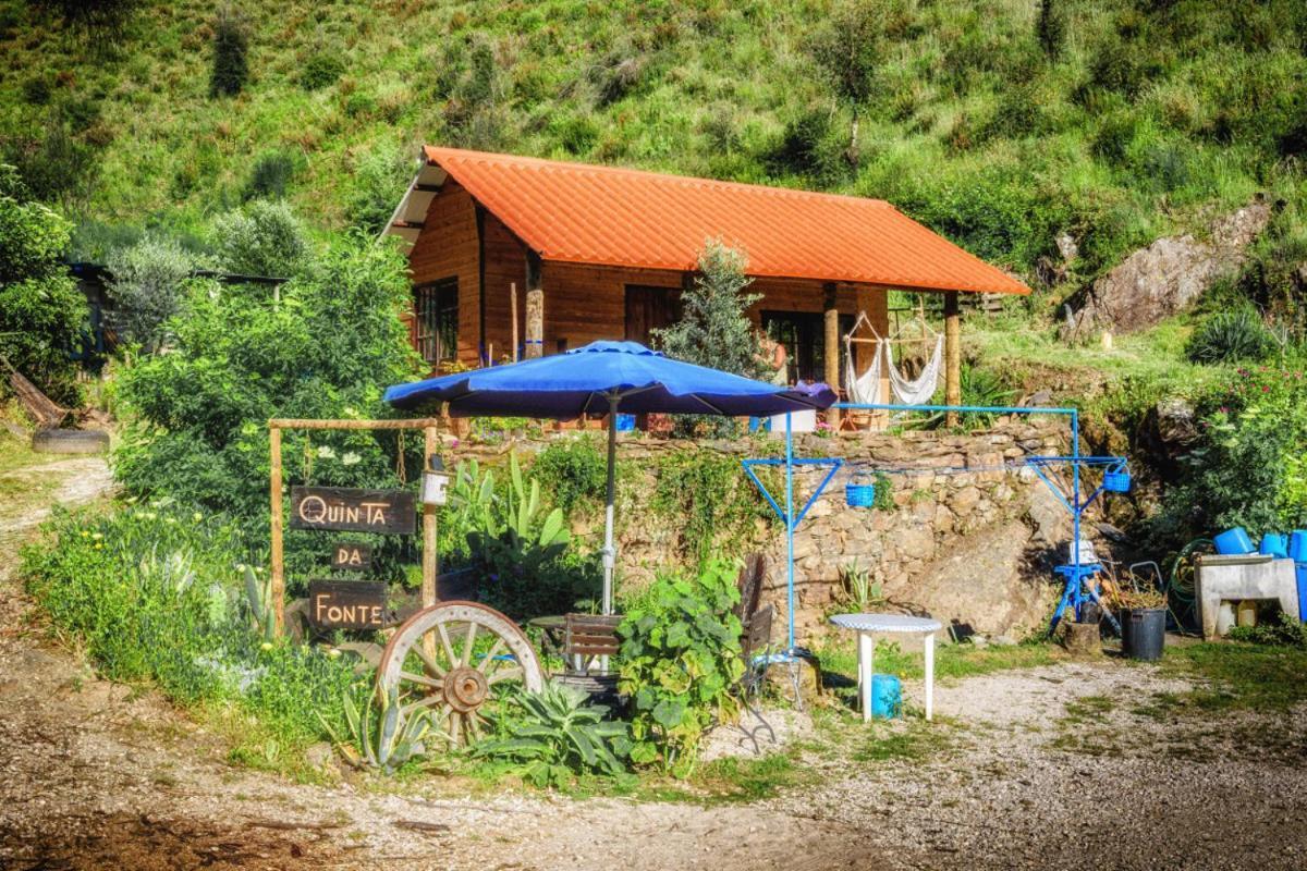 Unique Tiny House With Natural Building Techniques Figueiro Dos Vinhos Exterior photo