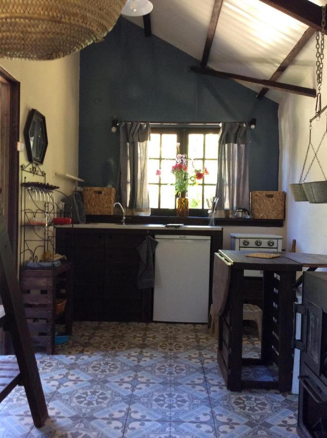 Unique Tiny House With Natural Building Techniques Figueiro Dos Vinhos Exterior photo