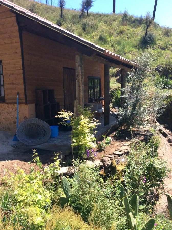 Unique Tiny House With Natural Building Techniques Figueiro Dos Vinhos Exterior photo