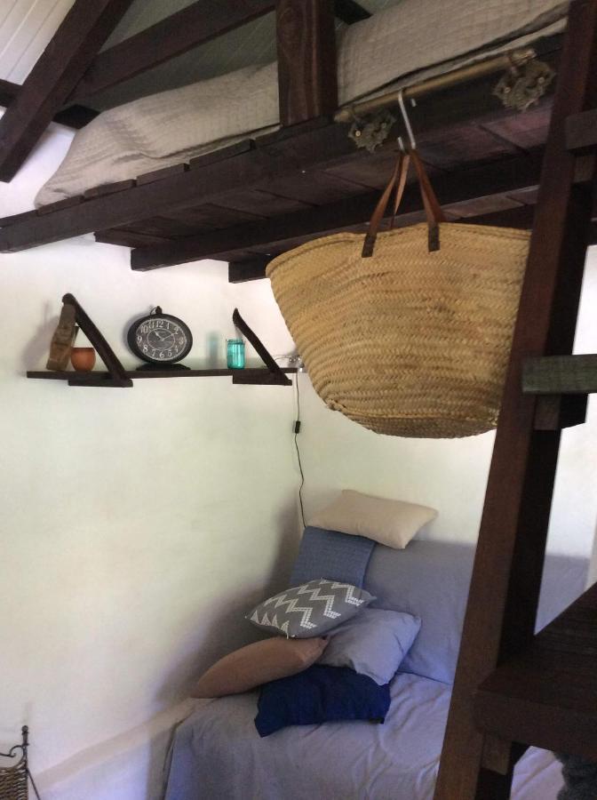 Unique Tiny House With Natural Building Techniques Figueiro Dos Vinhos Exterior photo