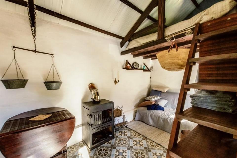 Unique Tiny House With Natural Building Techniques Figueiro Dos Vinhos Exterior photo