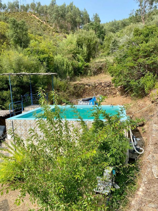 Unique Tiny House With Natural Building Techniques Figueiro Dos Vinhos Exterior photo