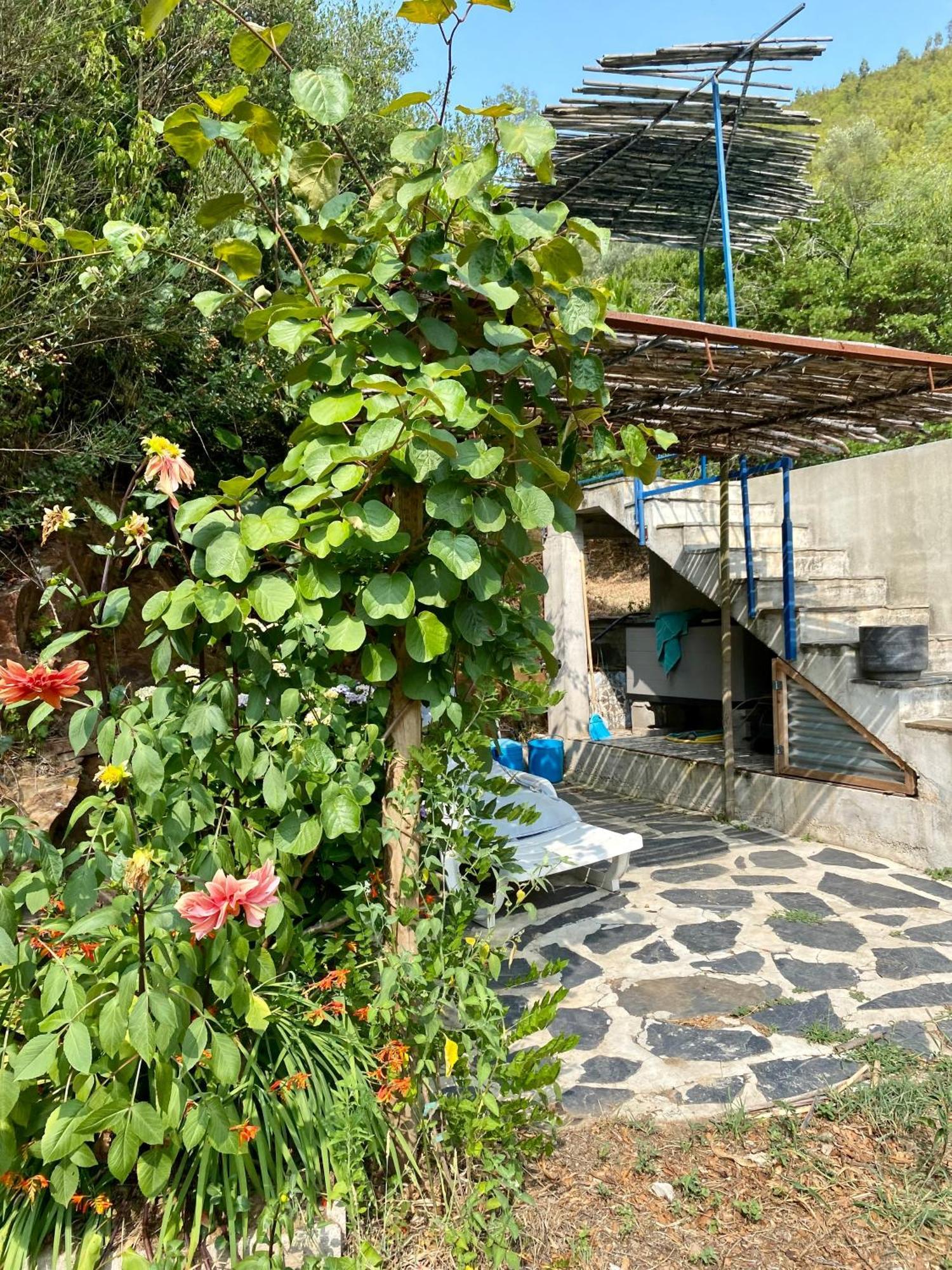 Unique Tiny House With Natural Building Techniques Figueiro Dos Vinhos Exterior photo
