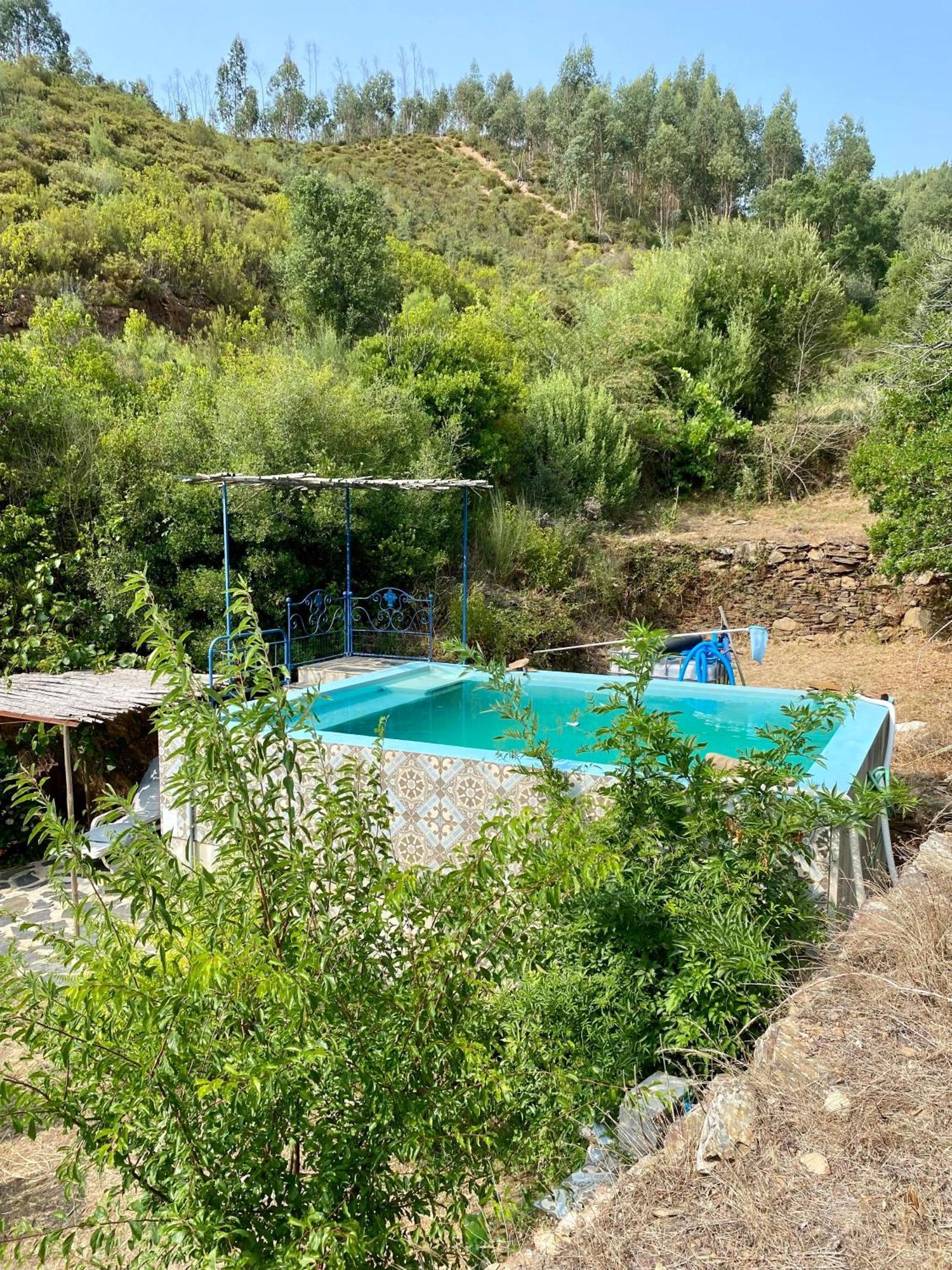 Unique Tiny House With Natural Building Techniques Figueiro Dos Vinhos Exterior photo